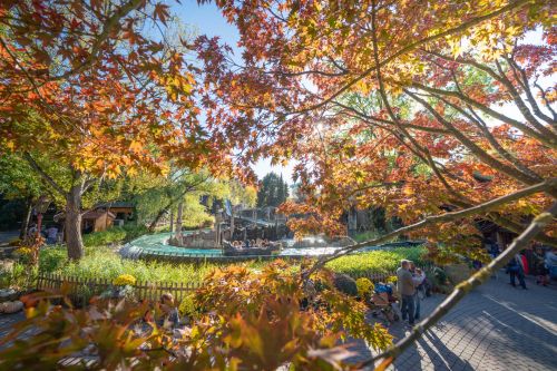 Het Oostenrijkse themagebied van Europa-Park in de herfst. De bomen kleuren prachtig in herfsttinten.