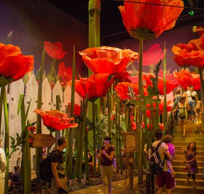 Eingangsbereich Poppy Towers