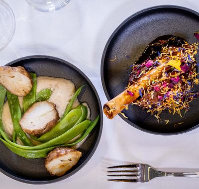 Zwei Teller mit herrlich angerichteten Vorspeisen 