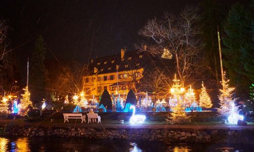 Winterzauber im Schlossgarten