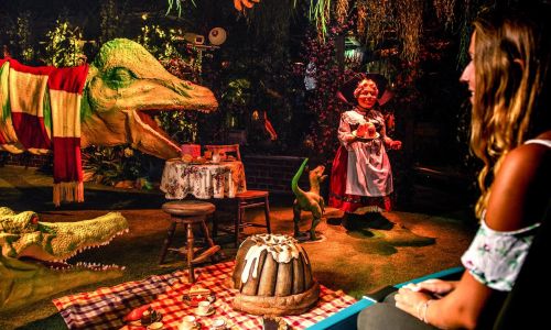 Madame Freudenreich Curiosités