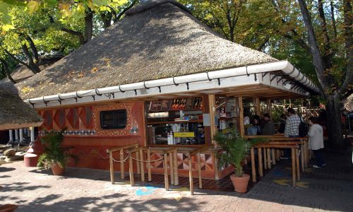 Adventure Food Station
