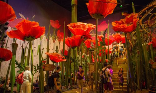 Eingangsbereich Poppy Towers