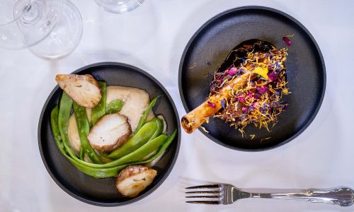 Zwei Teller mit herrlich angerichteten Vorspeisen 