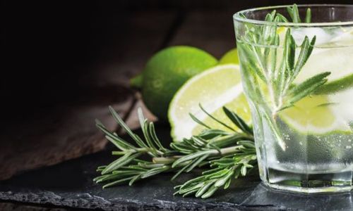 Confertainment - Gintonic Burger Teaser